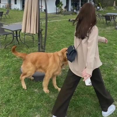 星之人 海报